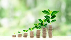 Quant Small Cap Fund 